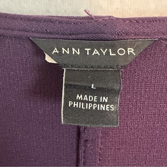 ANN TAYLOR Embroidered Sleeve Flare Shift Dress Purple V-Neck Long Sleeve Size L - Picture 11 of 14